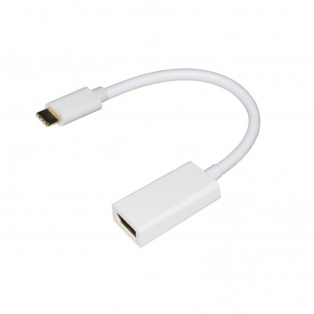 ADATTATORE USB-C / DISPLAYPORT FEMMINA