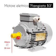 Motore elettrico trifase - JM 132MC Kw-15 2 Poli  2890 Giri 400/690 V