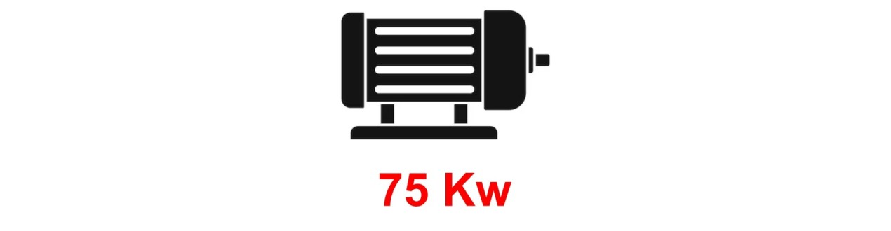 Motori Elettrici Trifase 75 kW Online - Alta Qualità e Prezzi Competitivi