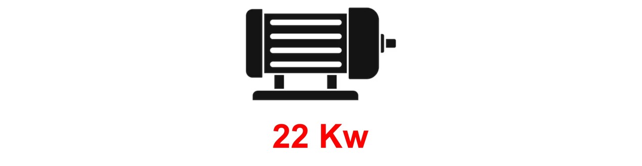 Motori Elettrici Trifase 22 kW - Alta Qualità e Prezzi Competitivi